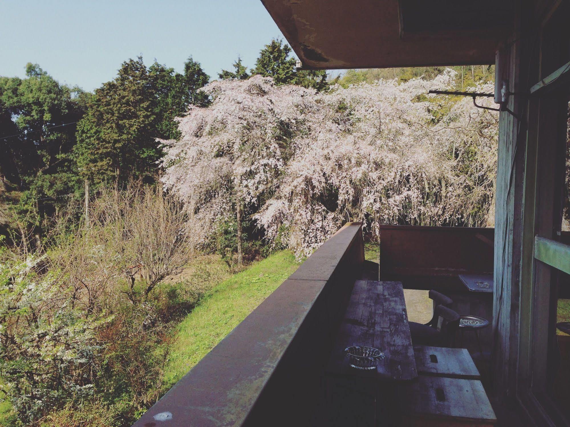 Amanohashidate Youth Hostel Miyazu Εξωτερικό φωτογραφία
