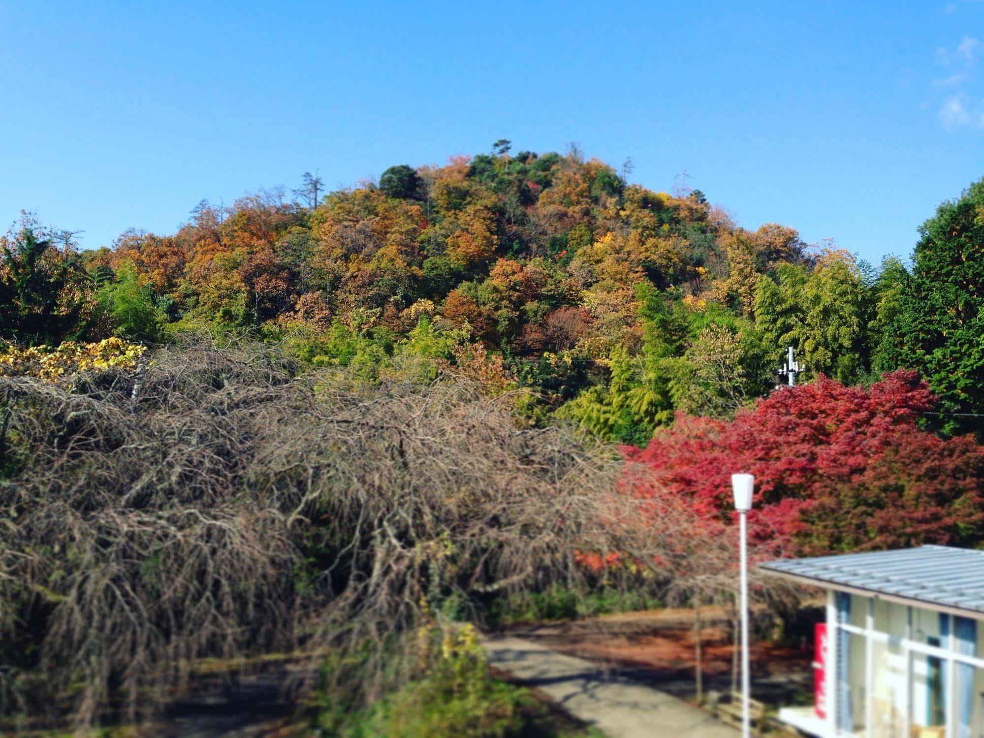 Amanohashidate Youth Hostel Miyazu Εξωτερικό φωτογραφία